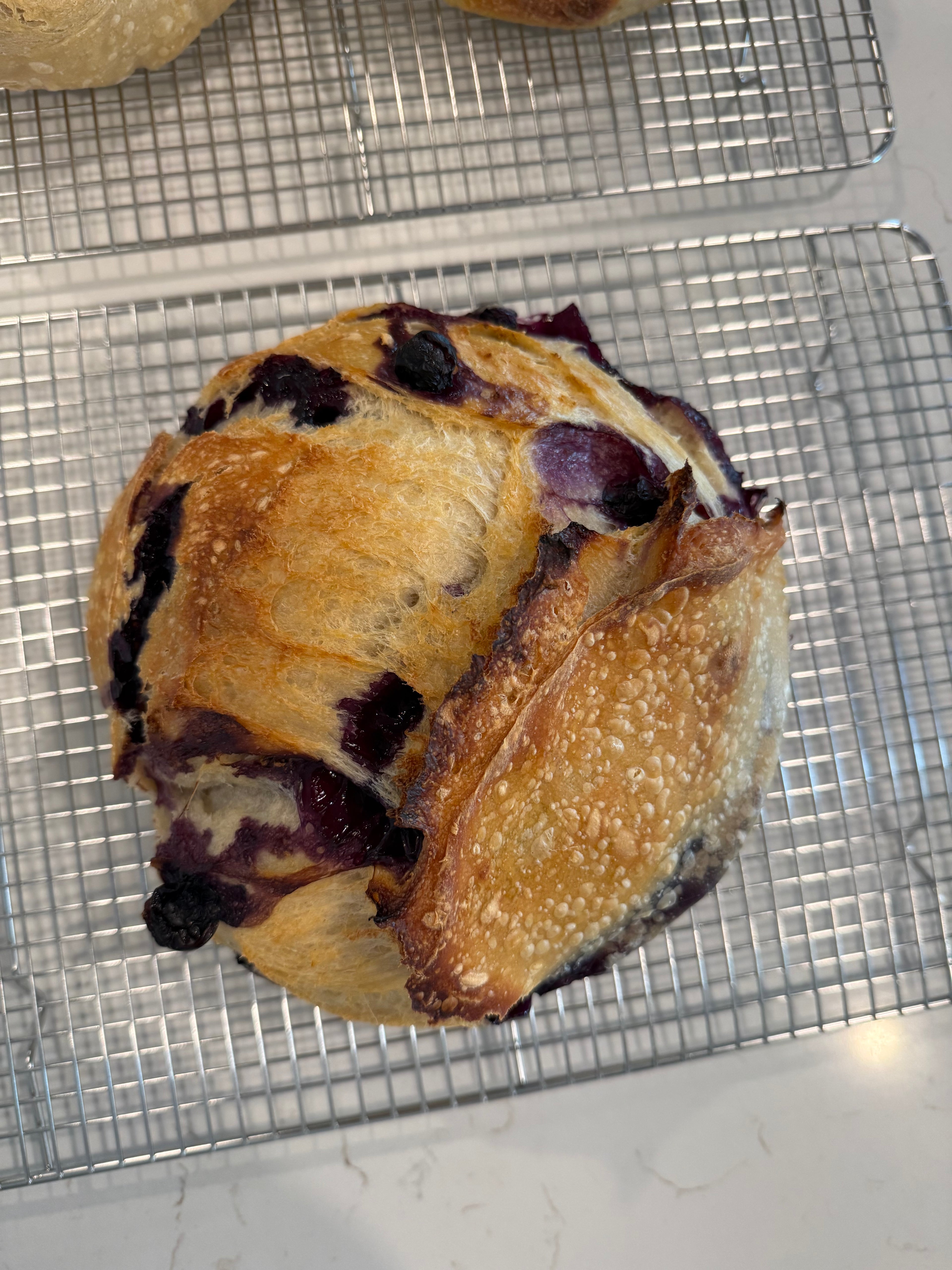 Blueberry & Lemon Sourdough Loaf